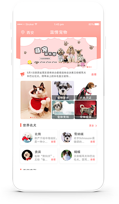温情宠物